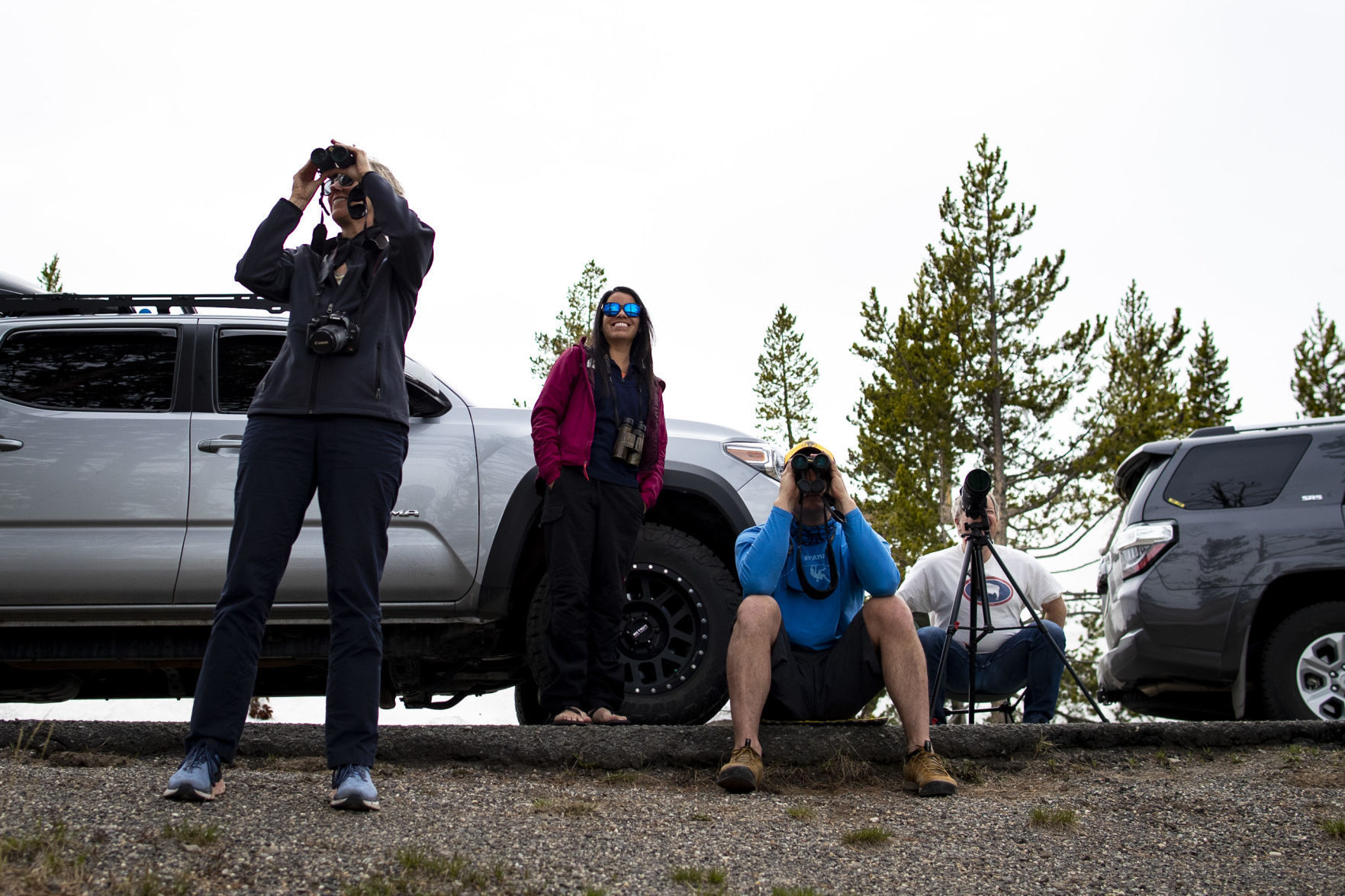 Yellowstone opens